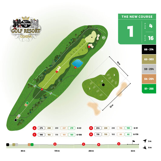 The New Course