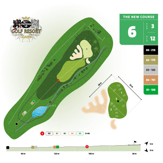 The New Course