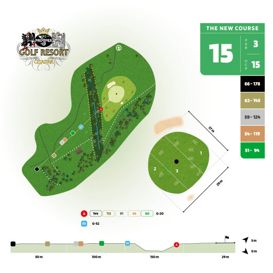 The New Course